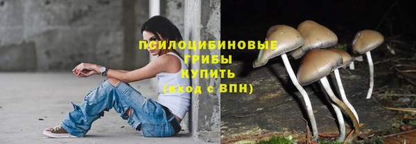 jwh Алзамай