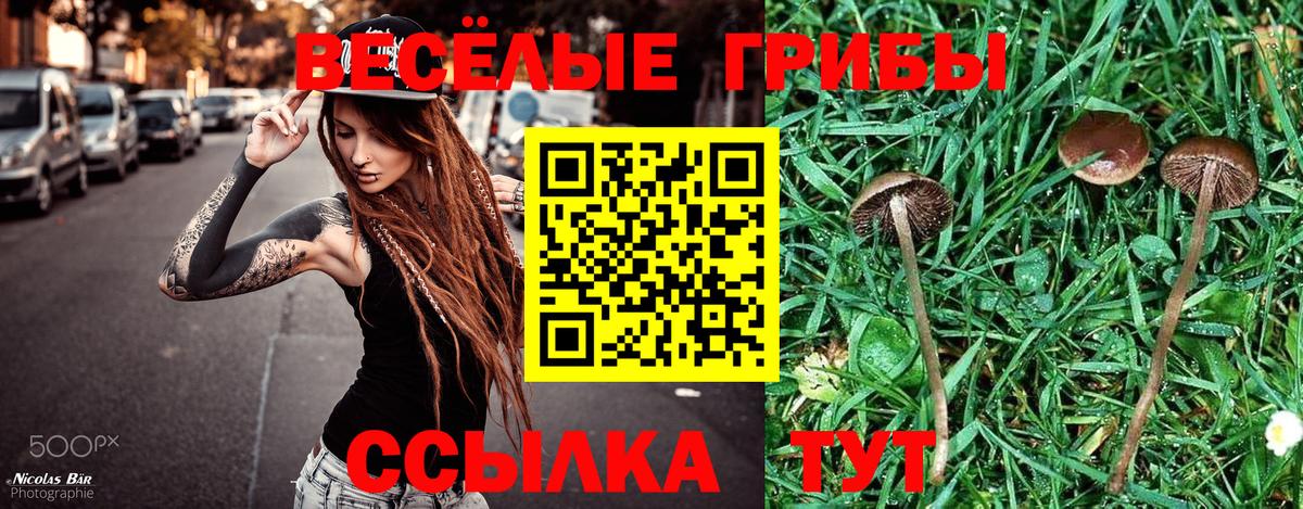 Галлюциногенные грибы Psilocybe  даркнет сайт  Тольятти  Вход с VPN 